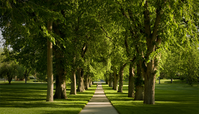 CSU oval