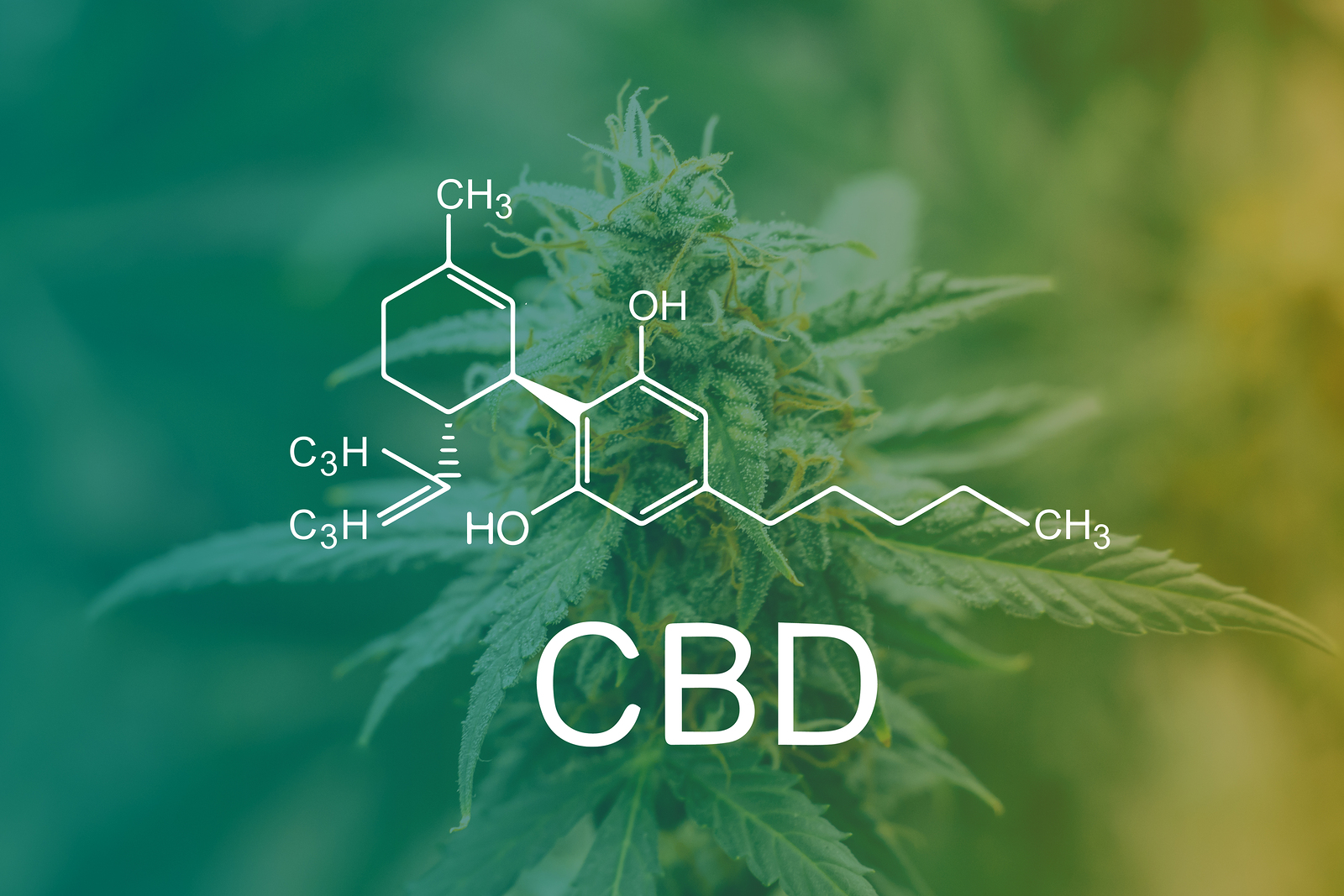 Marijuana Cbd Thc. Concepts Of Legalizing Medicinal Herbs Weed,
