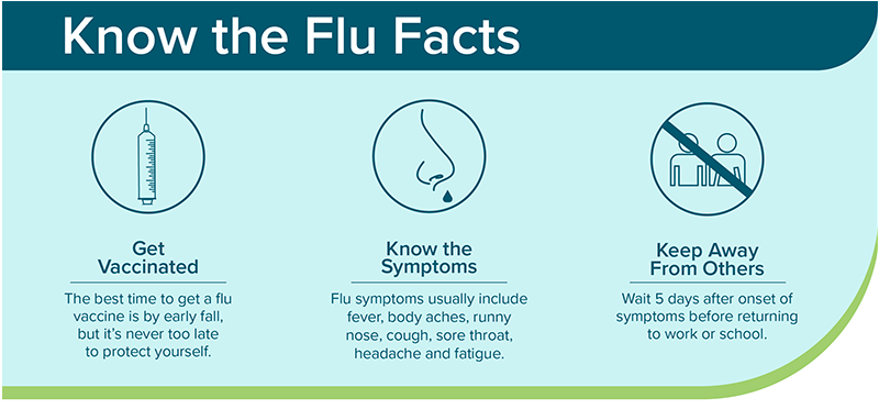 flu myths